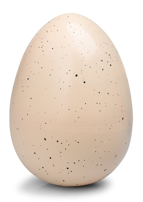 DINOSAUR GIANT EGG
