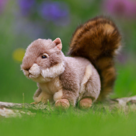 ANIMIGOS WORLD OF NATURE GREY SQUIRREL