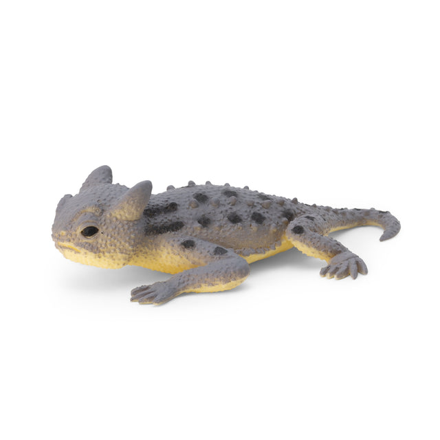 COLOUR CHANGING LIZARDS