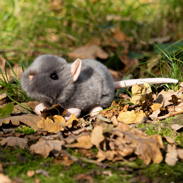 ANIMIGOS WORLD OF NATURE SQUEAKING RAT