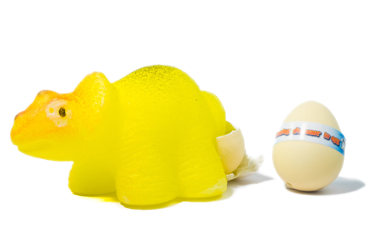 DINOSAUR GROW EGG (SMALL)