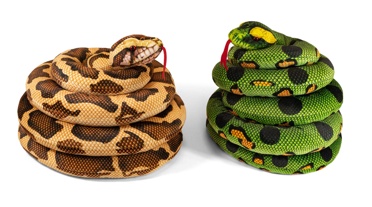 SNAKE 2 ASSORTED